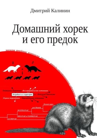 Книга Дмитрий Алексеевич Калинин Домашний хорек и его предок