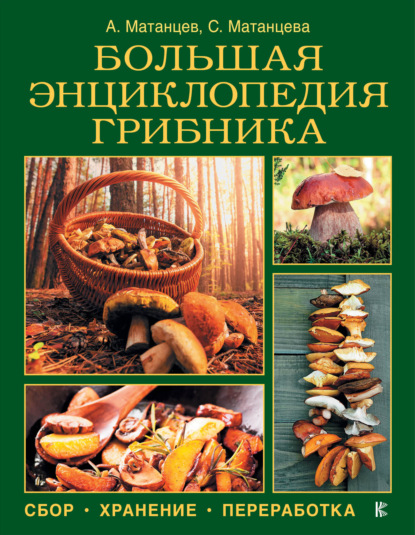 Книга Александр Николаевич Матанцев, Александр Матанцев, Светлана Григорьевна Матанцева Большая энциклопедия грибника