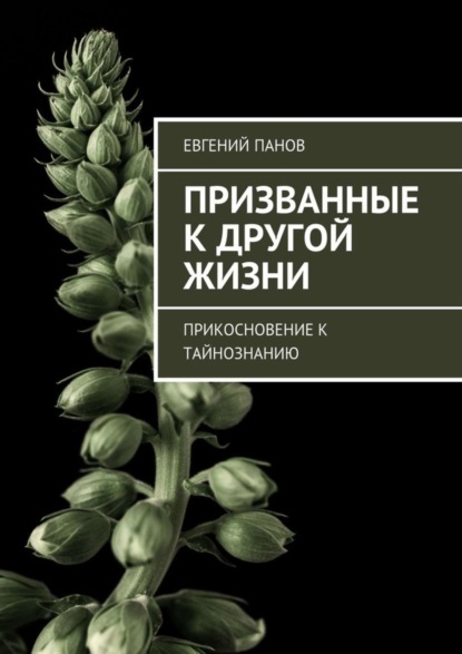 Книга Евгений Панов Призванные к другой жизни. Прикосновение к тайнознанию