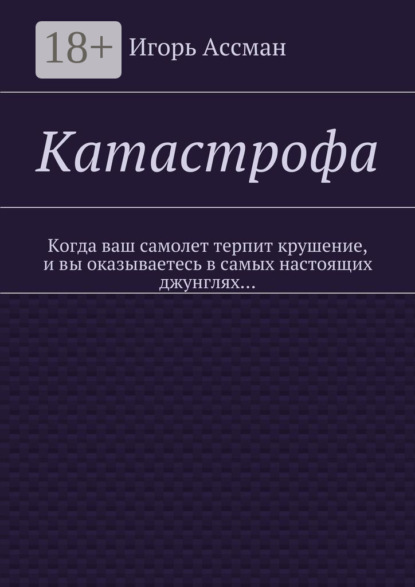 Книга Игорь Ассман Катастрофа