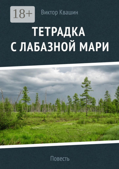 Книга Виктор Квашин Тетрадка с лабазной мари