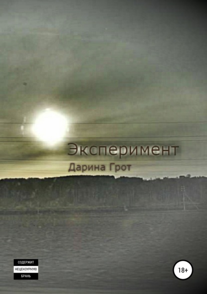 Книга Дарина Грот Эксперимент