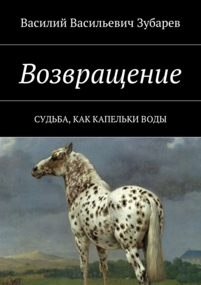 Книга Василий Васильевич Зубарев Возвращение. Судьба, как капельки воды