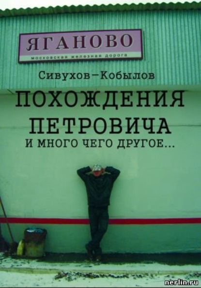 Книга Игорь Валентинович Гамазин ПОХОЖДЕНИЯ ПЕТРОВИЧА и много чего другое…