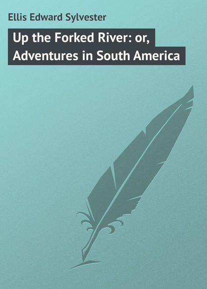 Книга Ellis Edward Sylvester, Edward Ellis Up the Forked River: or, Adventures in South America