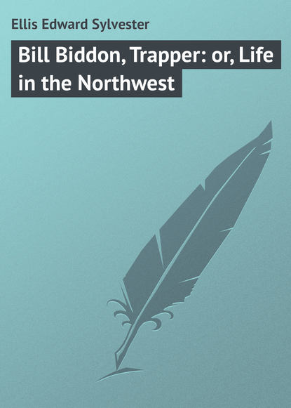 Книга Ellis Edward Sylvester, Edward Ellis Bill Biddon, Trapper: or, Life in the Northwest