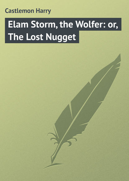 Книга Castlemon Harry, Harry Castlemon Elam Storm, the Wolfer: or, The Lost Nugget