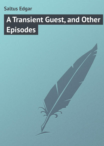 Книга Edgar Saltus, Saltus Edgar A Transient Guest, and Other Episodes
