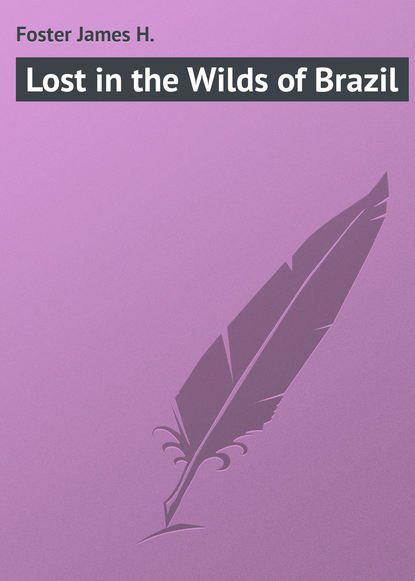 Книга James Foster, Foster James H. Lost in the Wilds of Brazil