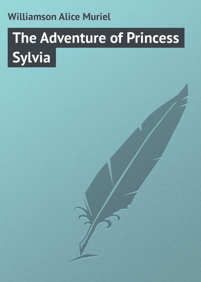 Книга Williamson Alice Muriel, Alice Williamson The Adventure of Princess Sylvia