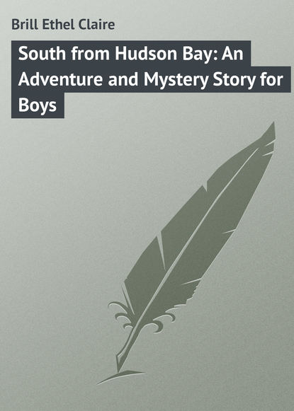 Книга Ethel Brill, Brill Ethel Claire South from Hudson Bay: An Adventure and Mystery Story for Boys