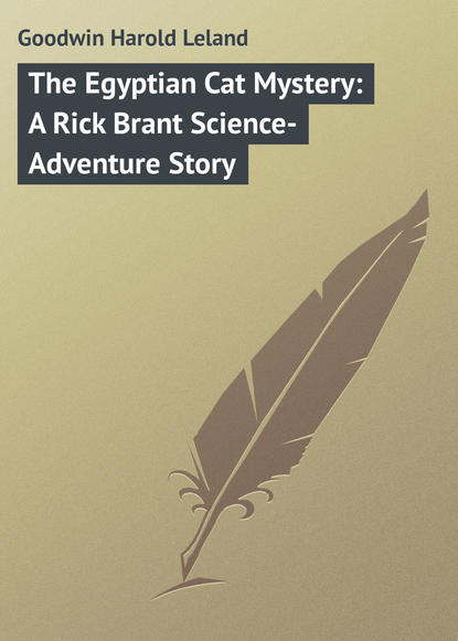Книга Harold Goodwin, Goodwin Harold Leland The Egyptian Cat Mystery: A Rick Brant Science-Adventure Story