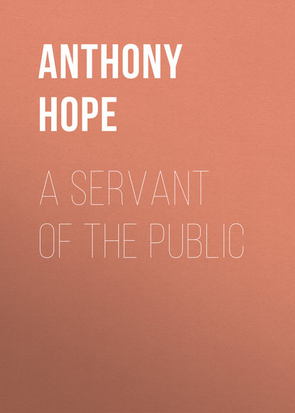 Книга Anthony Hope, Hope Anthony A Servant of the Public