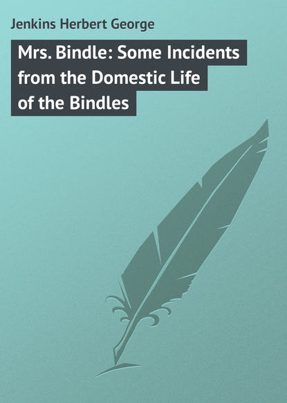 Книга Jenkins Herbert George, Herbert Jenkins Mrs. Bindle: Some Incidents from the Domestic Life of the Bindles