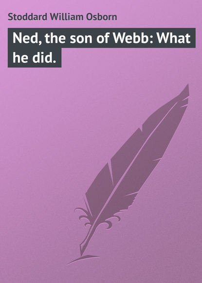 Книга William Stoddard, Stoddard William Osborn Ned, the son of Webb: What he did.
