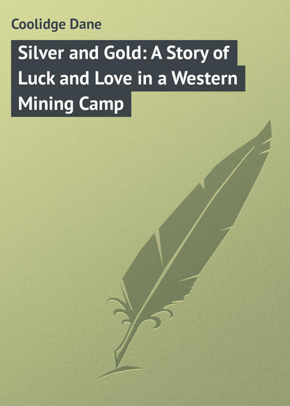 Книга Coolidge Dane, Dane Coolidge Silver and Gold: A Story of Luck and Love in a Western Mining Camp