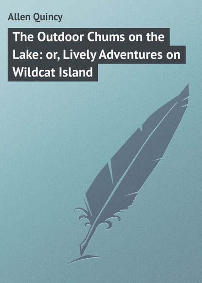 Книга Quincy Allen, Allen Quincy The Outdoor Chums on the Lake: or, Lively Adventures on Wildcat Island