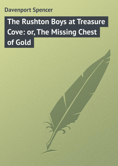 Книга Spencer Davenport, Davenport Spencer The Rushton Boys at Treasure Cove: or, The Missing Chest of Gold