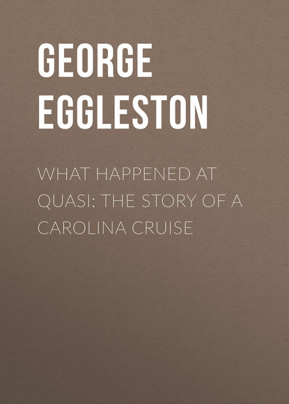 Книга Eggleston George Cary, George Eggleston What Happened at Quasi: The Story of a Carolina Cruise