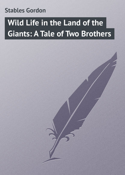 Книга Gordon Stables, Stables Gordon Wild Life in the Land of the Giants: A Tale of Two Brothers