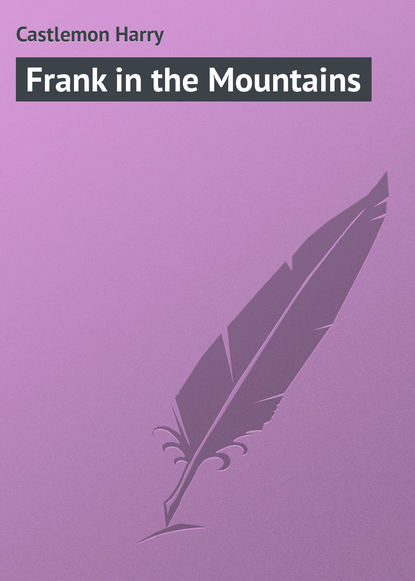 Книга Castlemon Harry, Harry Castlemon Frank in the Mountains