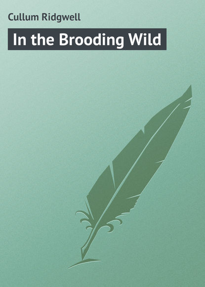 Книга Cullum Ridgwell, Ridgwell Cullum In the Brooding Wild