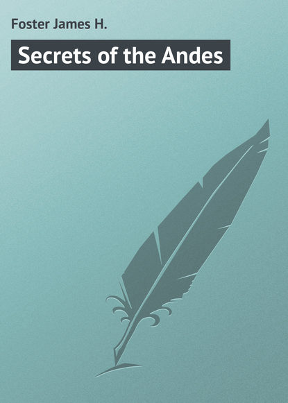 Книга James Foster, Foster James H. Secrets of the Andes