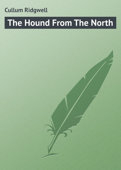 Книга Cullum Ridgwell, Ridgwell Cullum The Hound From The North