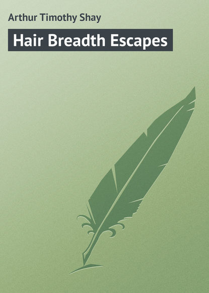 Книга Timothy Arthur, Arthur Timothy Shay Hair Breadth Escapes