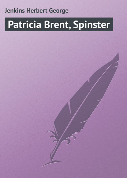Книга Jenkins Herbert George, Herbert Jenkins Patricia Brent, Spinster