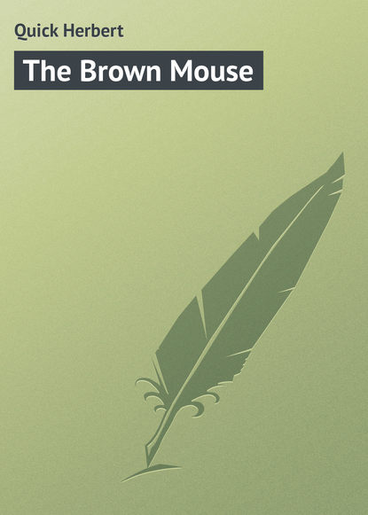 Книга Herbert Quick, Quick Herbert The Brown Mouse
