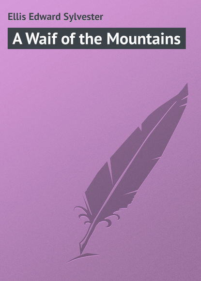 Книга Ellis Edward Sylvester, Edward Ellis A Waif of the Mountains