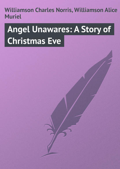 Книга Charles Williamson, Alice Williamson, Williamson Charles Norris Angel Unawares: A Story of Christmas Eve
