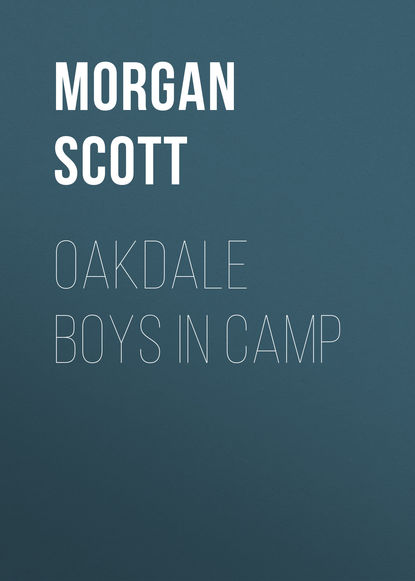 Книга Morgan Scott, Scott Morgan Oakdale Boys in Camp