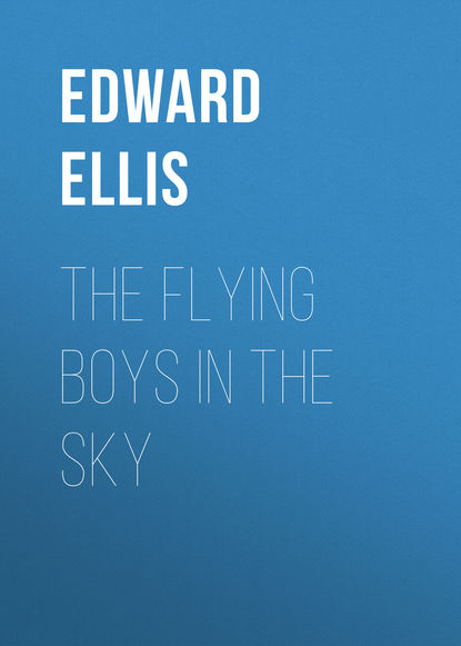 Книга Ellis Edward Sylvester, Edward Ellis The Flying Boys in the Sky