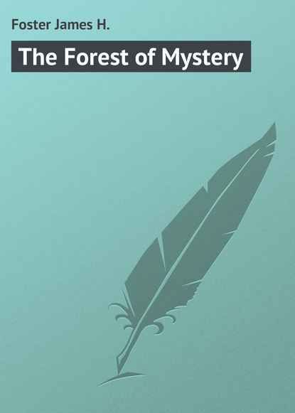 Книга James Foster, Foster James H. The Forest of Mystery