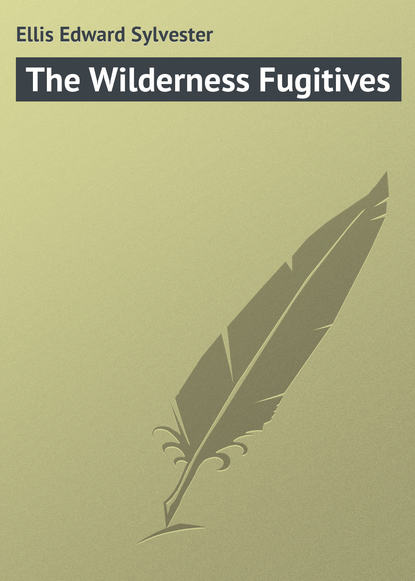 Книга Ellis Edward Sylvester, Edward Ellis The Wilderness Fugitives