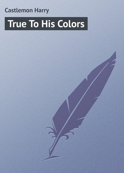 Книга Castlemon Harry, Harry Castlemon True To His Colors
