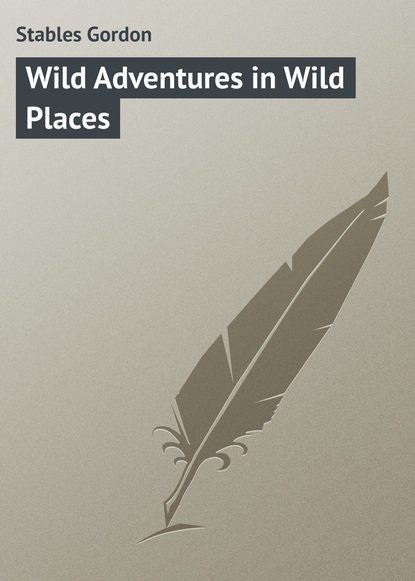 Книга Gordon Stables, Stables Gordon Wild Adventures in Wild Places