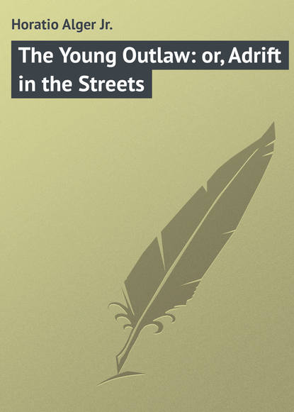 Книга Horatio Alger, Alger Horatio Jr. The Young Outlaw: or, Adrift in the Streets
