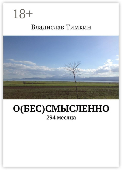 Книга Владислав Тимкин О(бес)смысленно. 294 месяца