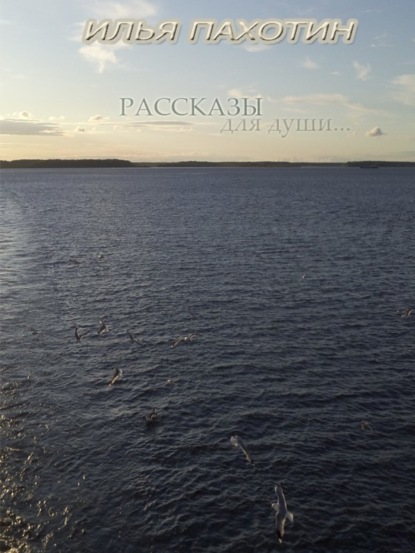 Книга Илья Александрович Пахотин Рассказы для души…