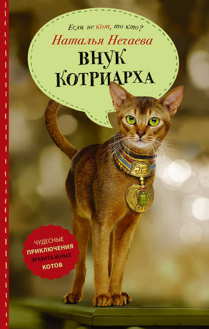 Книга Наталья Нечаева, Наталья Георгиевна Нечаева Внук котриарха