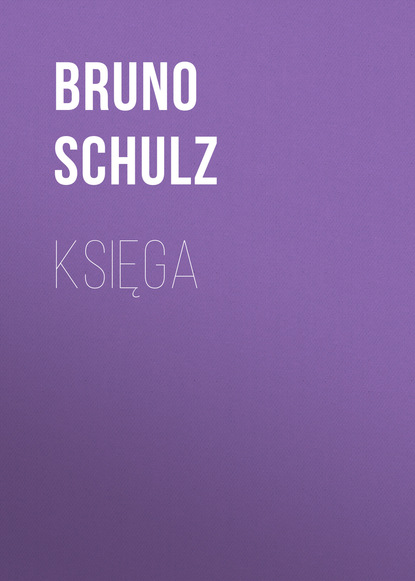 Книга Bruno Schulz, Bruno  Schulz Księga