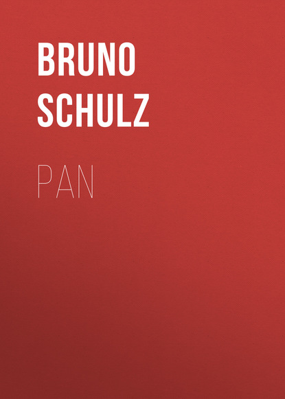 Книга Bruno Schulz, Bruno  Schulz Pan