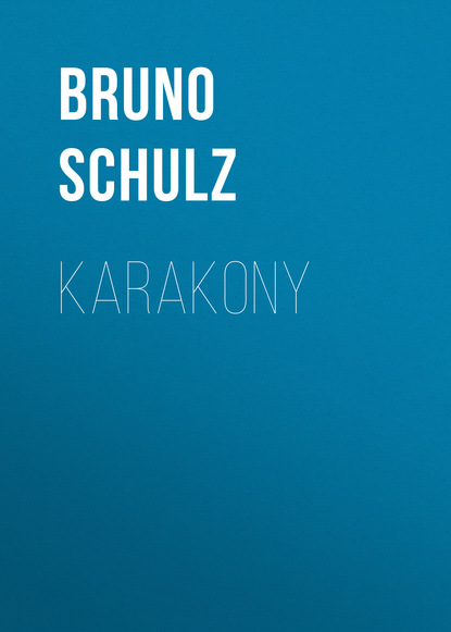 Книга Bruno Schulz, Bruno  Schulz Karakony