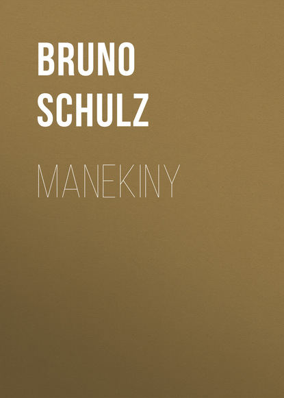 Книга Bruno Schulz, Bruno  Schulz Manekiny