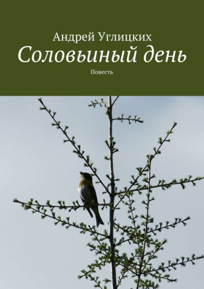 Книга Андрей Углицких Соловьиный день. Повесть
