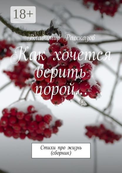 Книга Владимир Рассказов Как хочется верить порой… Стихи про жизнь (сборник)