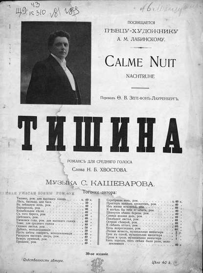 Книга  ЦГПБ, Сергей Кашеваров Тишина